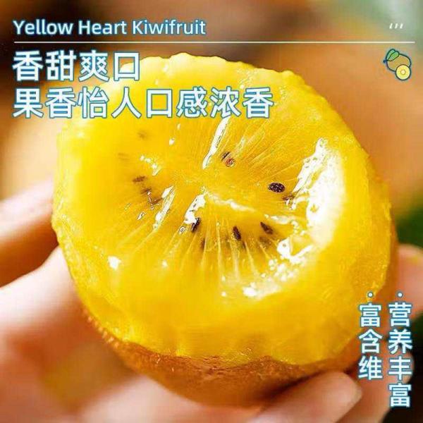 金百粟 正宗黄心猕猴桃奇异果金果新鲜水果产地直发 大果90-110g 24枚