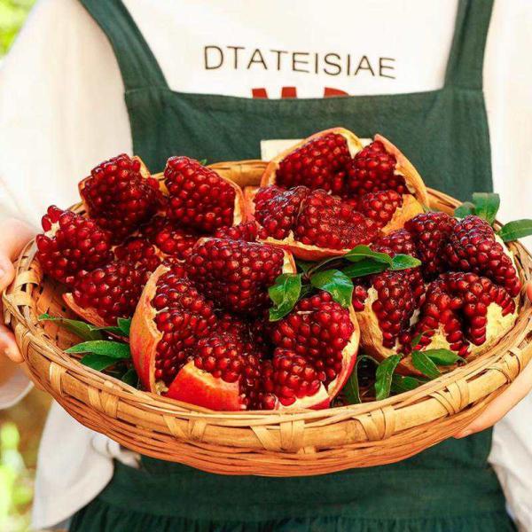 樱鲜四川会理突尼斯软籽石榴中秋水果礼盒当季甜石榴礼盒无籽红石榴 3斤装精选