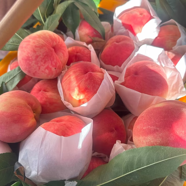 四川成都龙泉驿水蜜桃 撕皮爆汁新鲜孕妇水果当季送礼整 [试吃装]1斤单果80g+